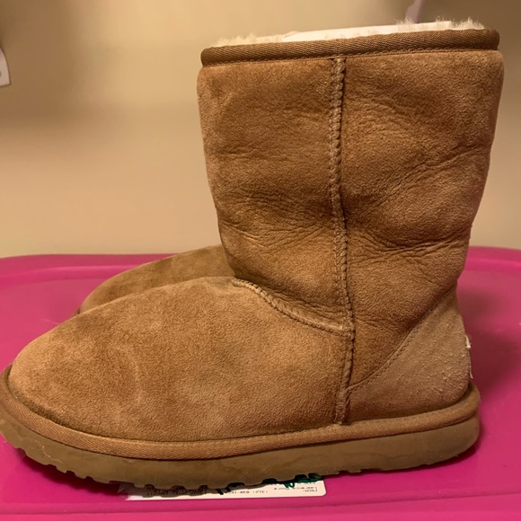 Chestnut uggs - Picture 4 of 4
